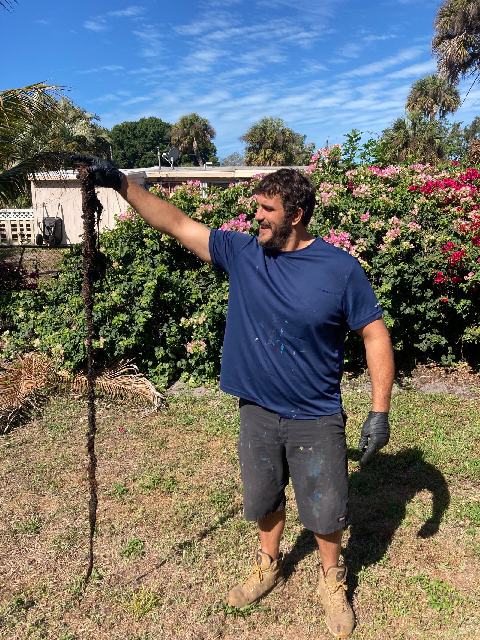 Tree Root Removal